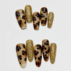 Leopard🐆