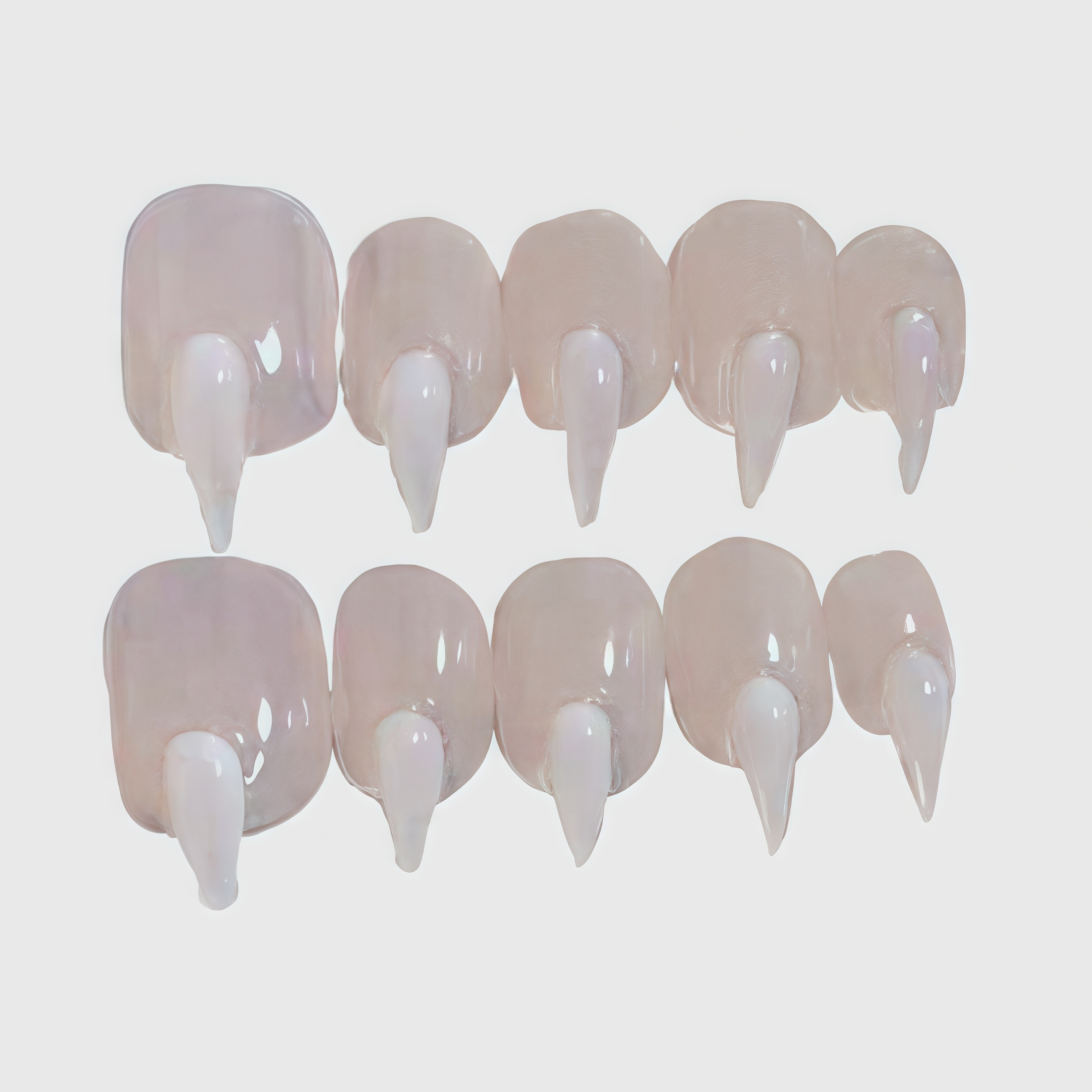 Simulation cat claw Main image